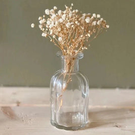 White Baby Breath dried flower arrangement for aesthetic home decor and vase styling