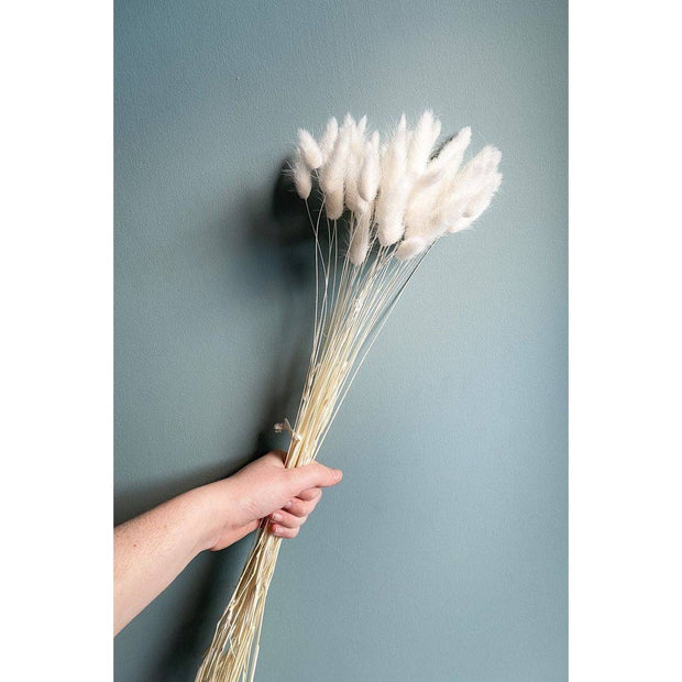 White Bunny Tail dried flower arrangement for modern home decor and boho vase styling