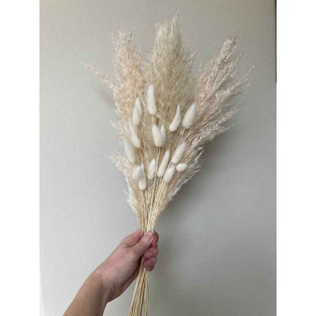 White Pampas Grass & Bunny Tails Dried Flower Bunch | Natural Vase Decor