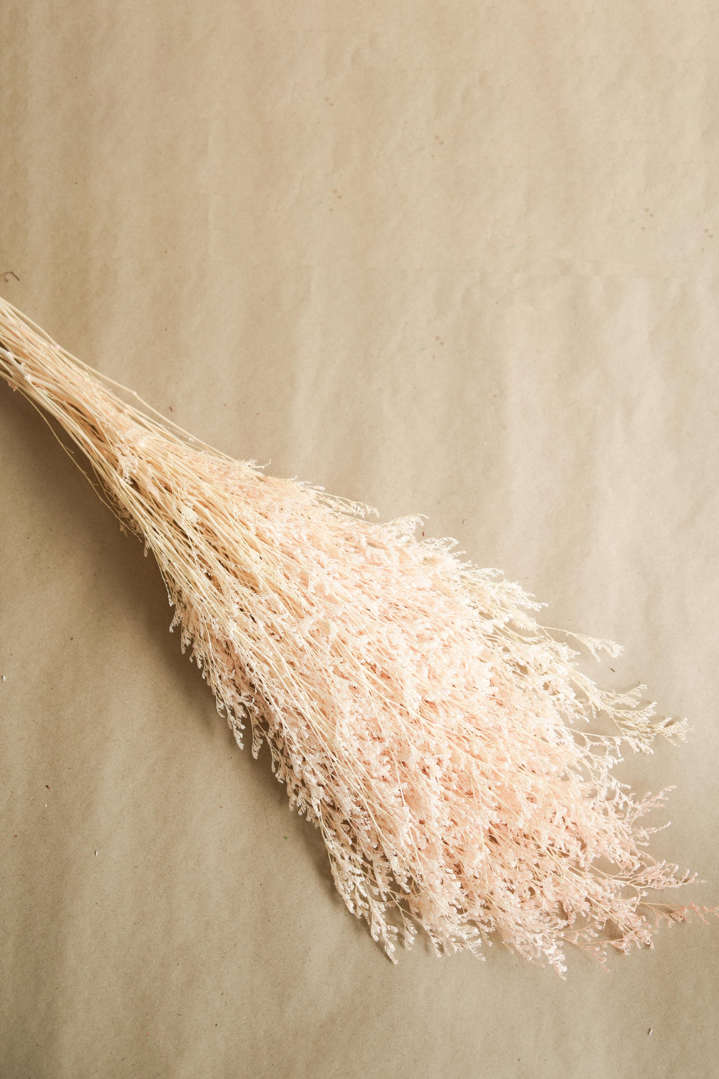Dual Colour Limonium White Peach Dried Floral Decor for Home Styling