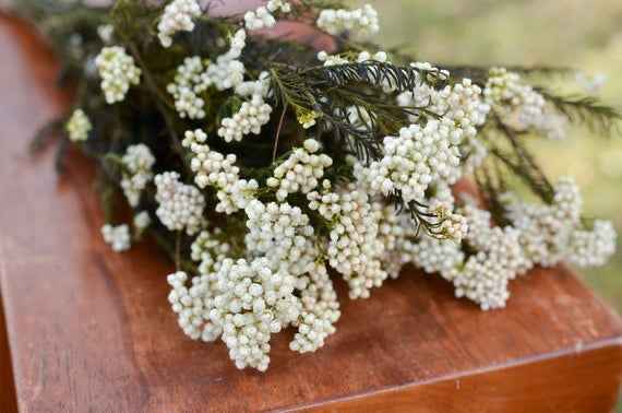 White Rice Flower Dried Flowers | Natural Dried Floral Bunch for Vase Decor