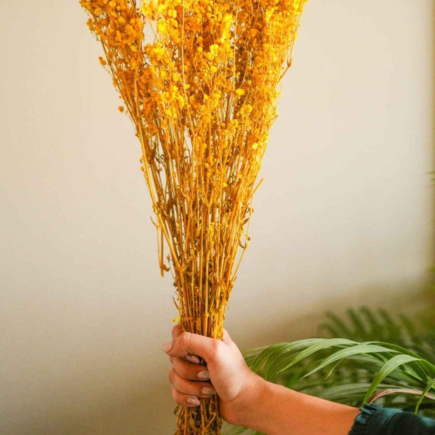 Yellow Baby’s Breath Dried Flowers | Natural Gypsophila Bouquet for Vase Decor