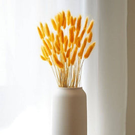Yellow Bunny Tails Dried Flowers Bundle for Vase and Home Decor