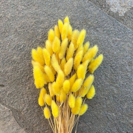 Yellow Bunny Tails Dried Flowers in Vase for Home Decor