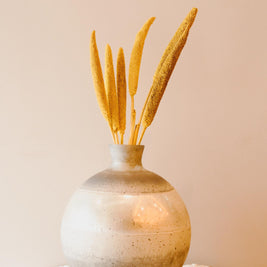 Yellow dried bazar sticks arranged in a vase for vibrant and aesthetic home decor styling